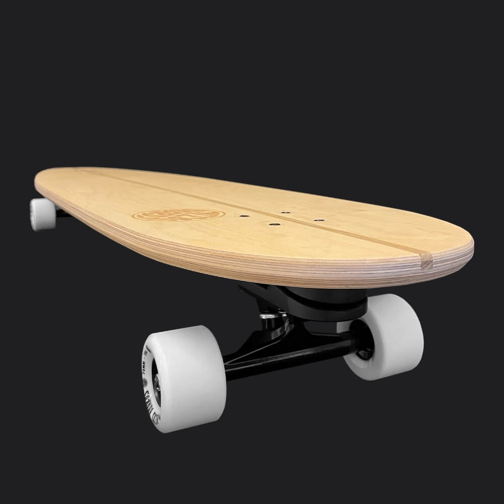 THE LAND SURFER SET MIT LAND PADDLE - MECOS BOARDS